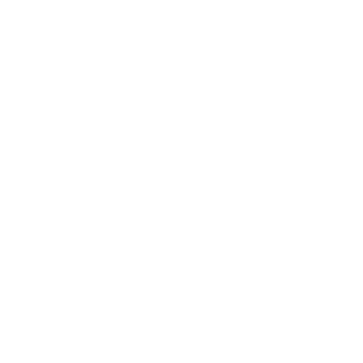 WebsiteWorthTraffic Logo